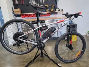 We Convert Any Bicycle to Ebike