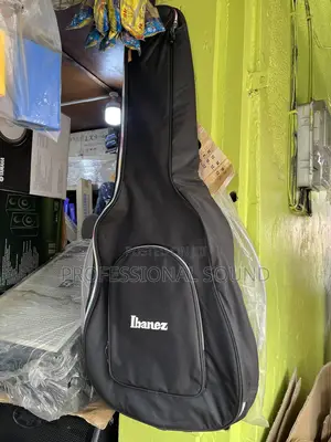 Acoustic Guitar Bag