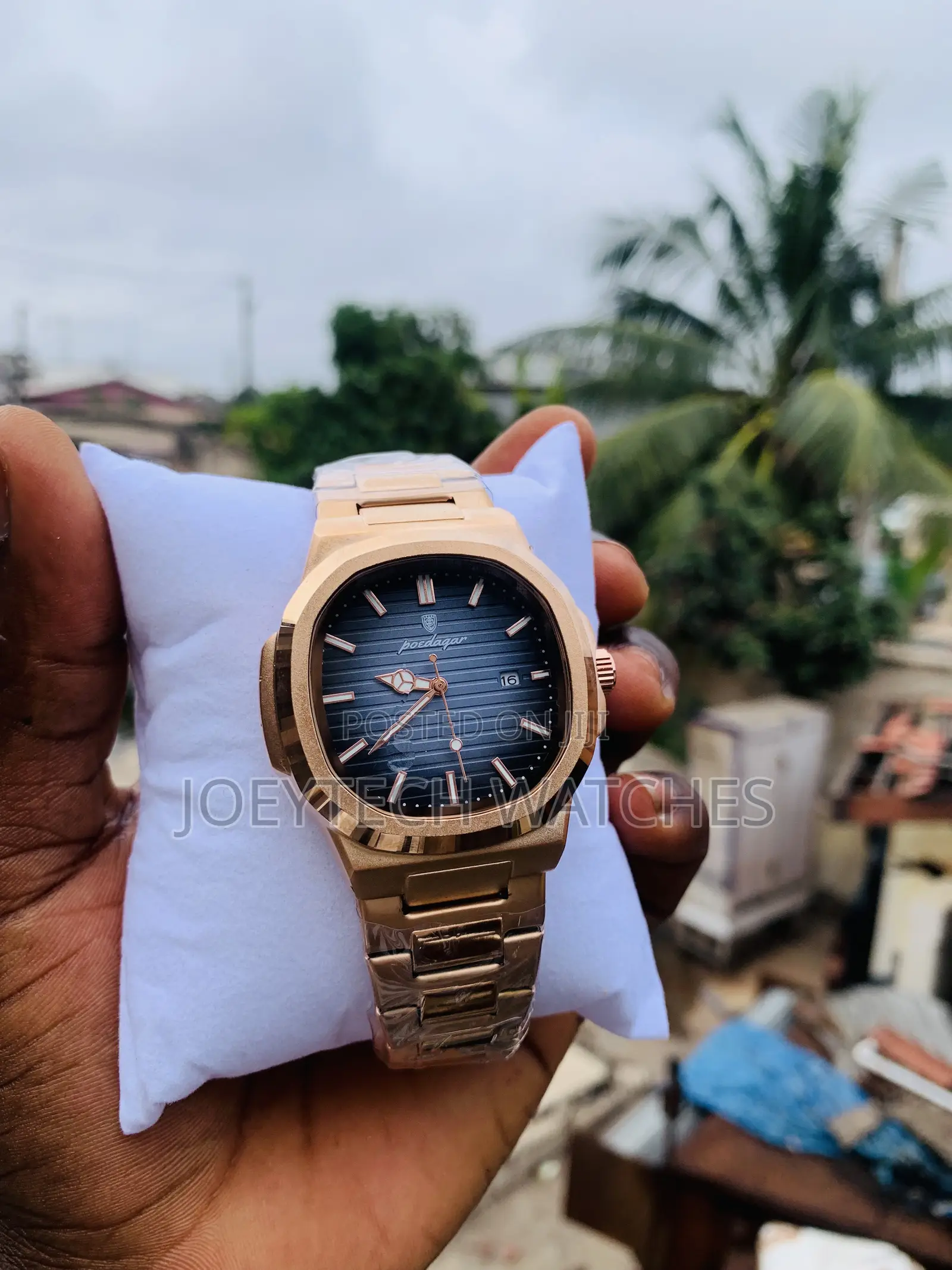 Poedagar Stainless Silver Watch
