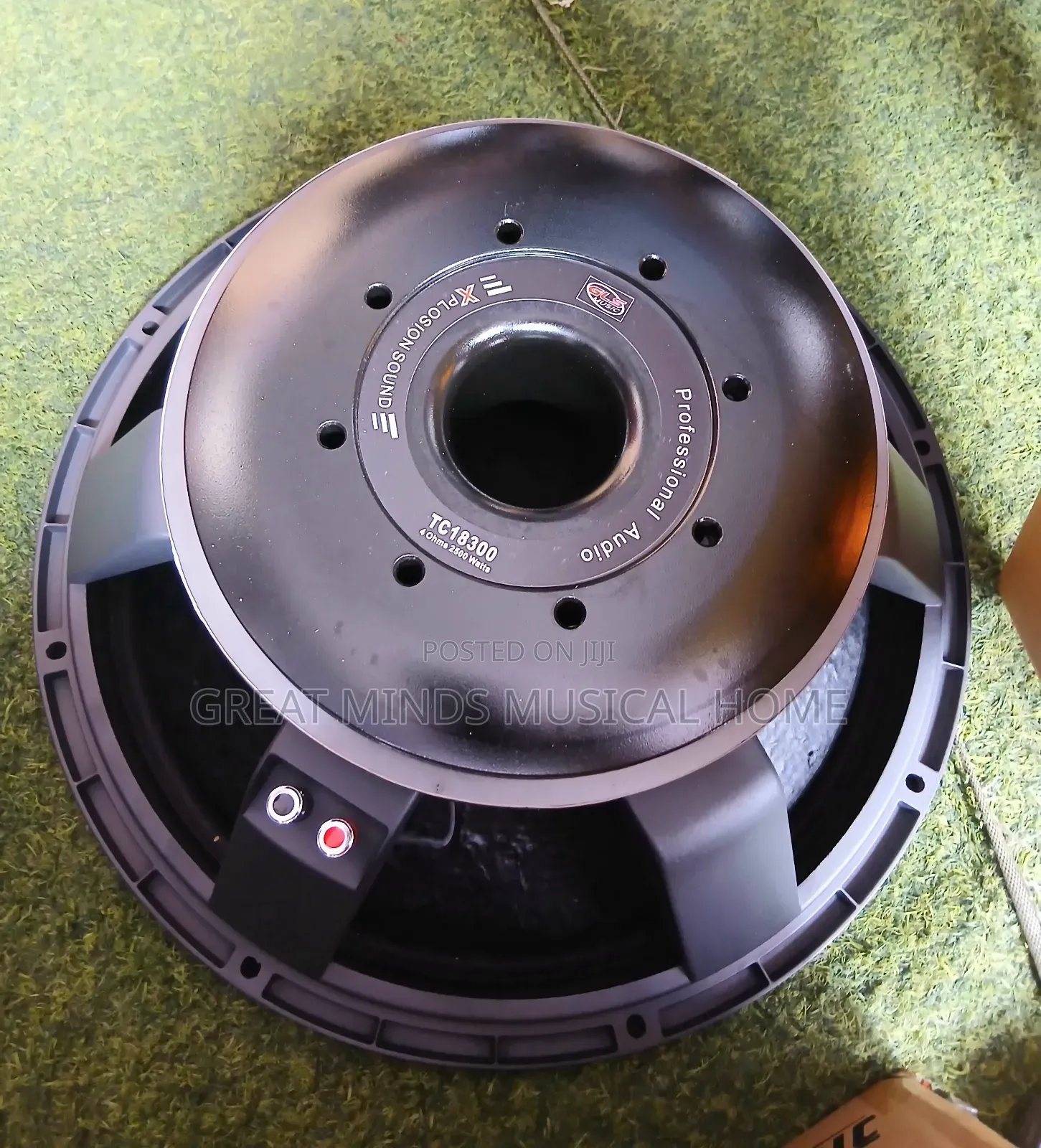 GLS 18" 2500 Watts Naked Speakers( Titanic)