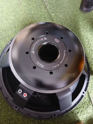 GLS 18" 2500 Watts Naked Speakers( Titanic)