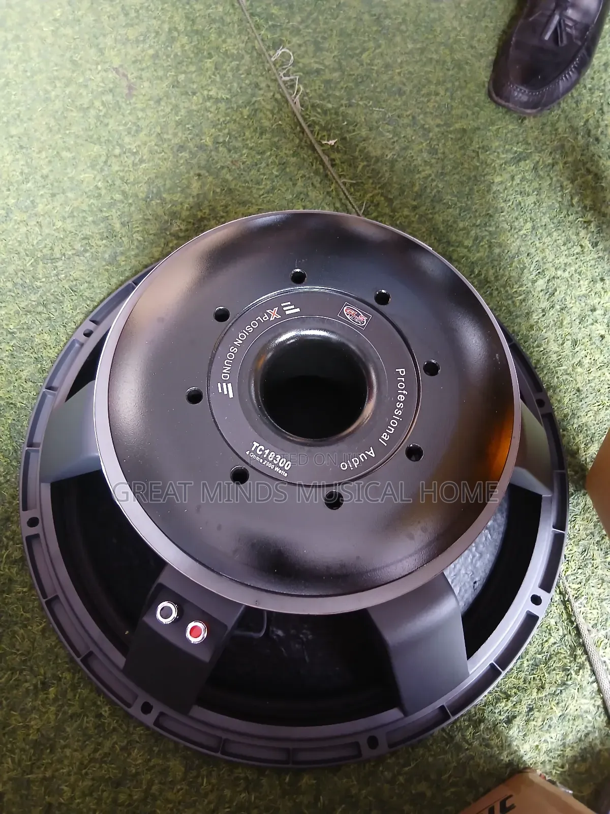 GLS 18" 2500 Watts Naked Speakers( Titanic)