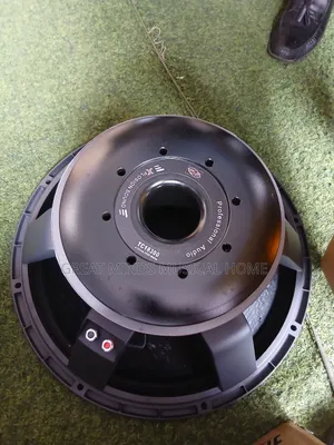 GLS 18" 2500 Watts Naked Speakers( Titanic)