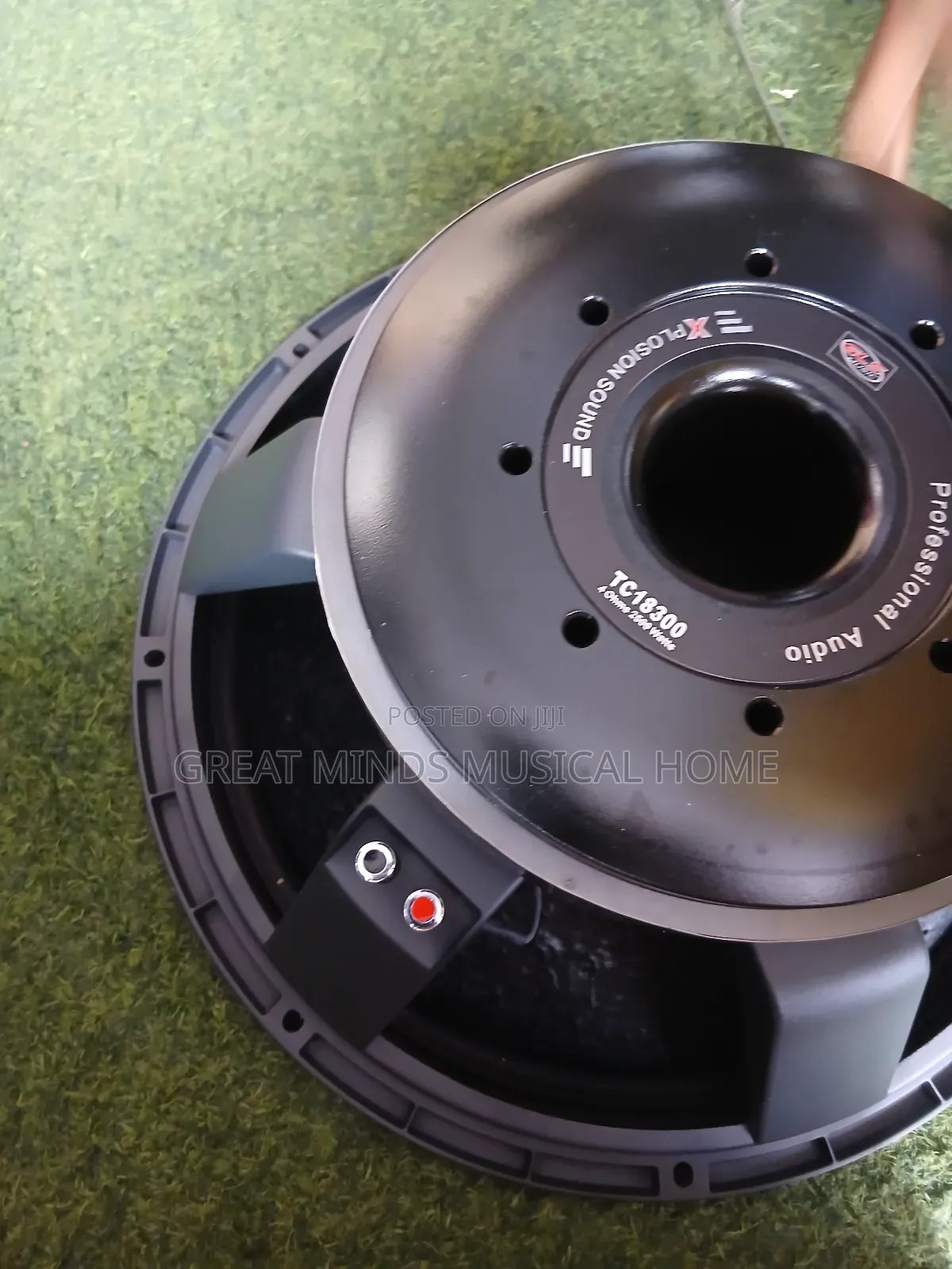GLS 18" 2500 Watts Naked Speakers( Titanic)