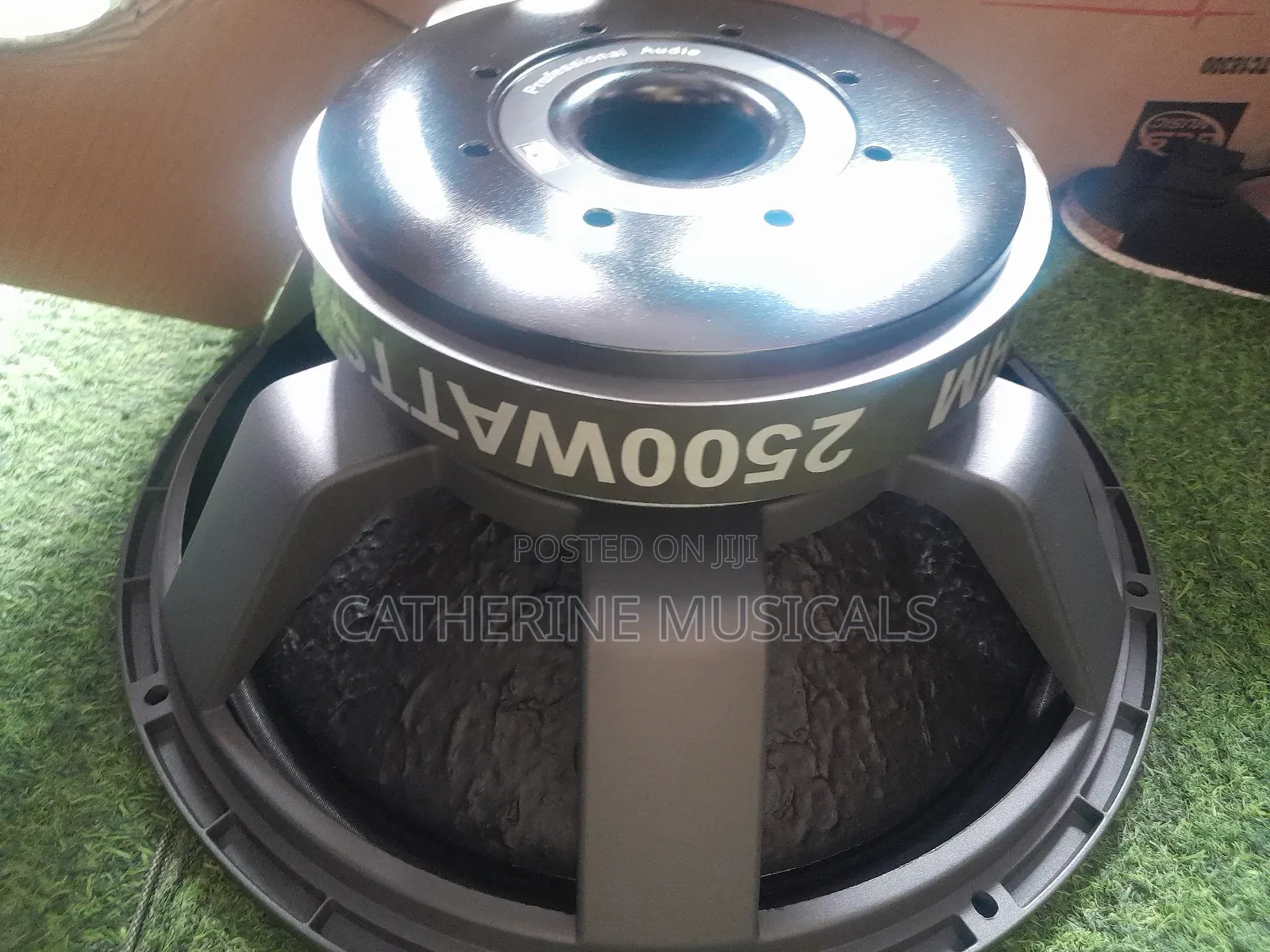 Titanic Naked Speaker 2500watt