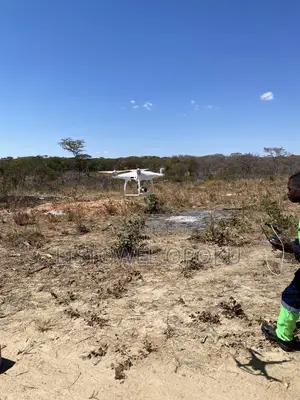 Professional Surveyor