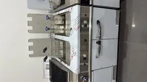 Deep Fryer Double Gas