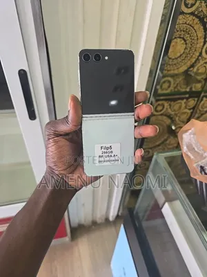 Samsung Galaxy Z Flip5 256 GB Silver