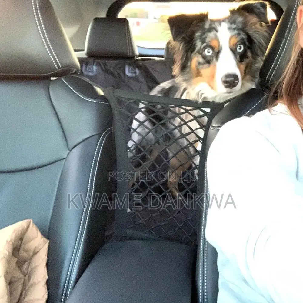 Universal Double Layer Car Mesh Organizer