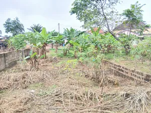 Land for Sale at Tech Apemso Near Knust Campus