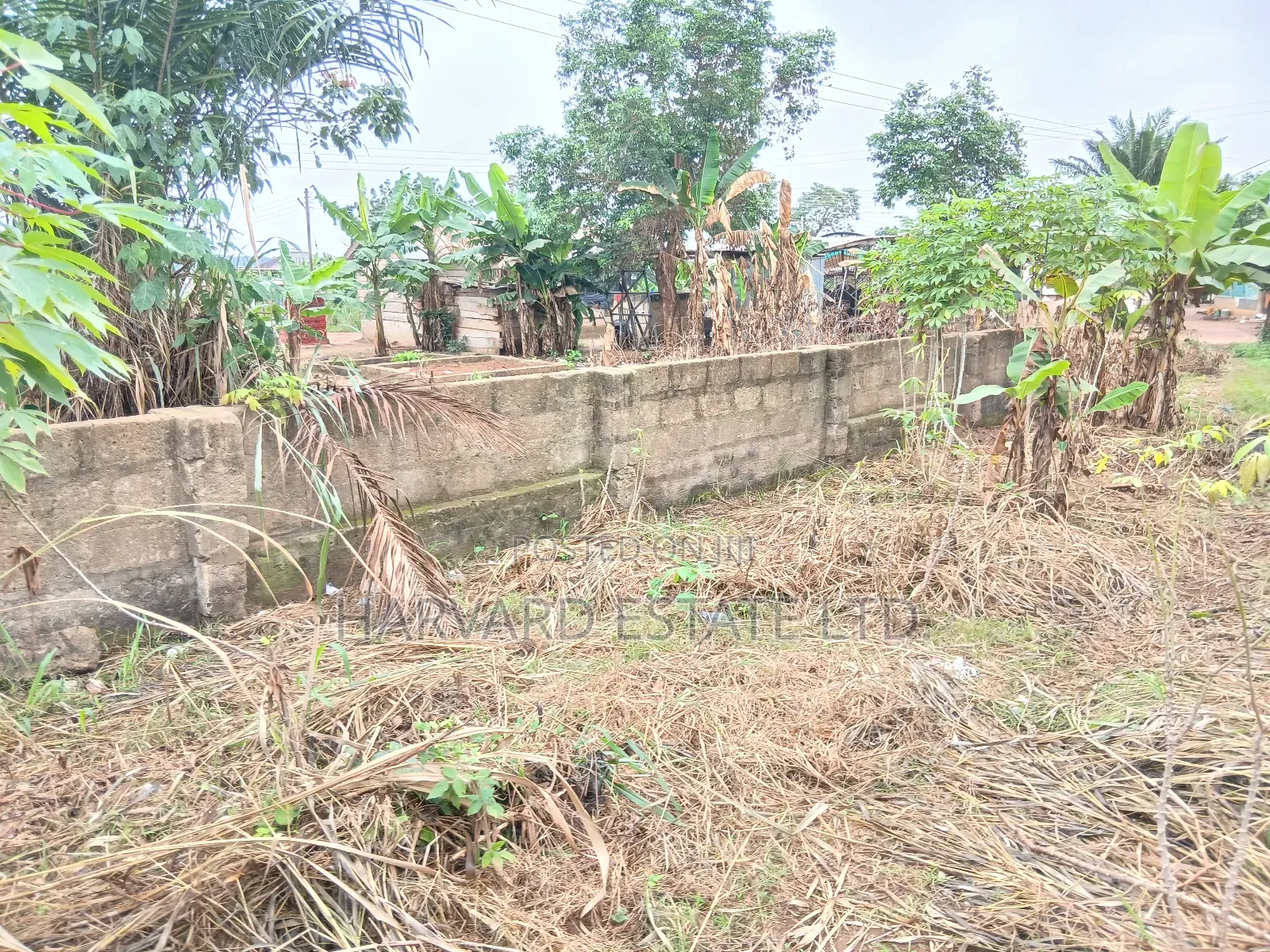 Land for Sale at Tech Apemso Near Knust Campus