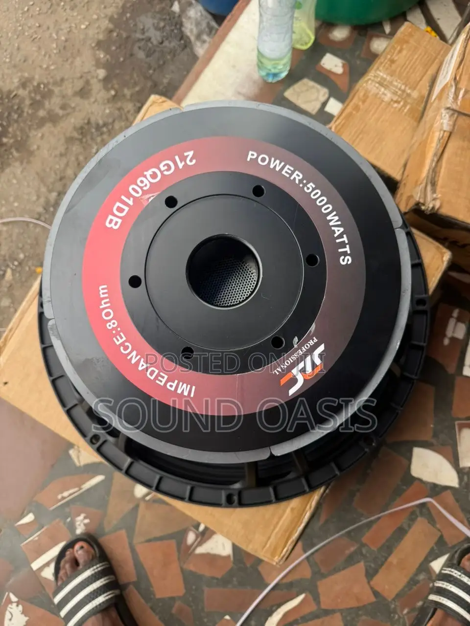 Jac (5000 Watts) 21 Inches Naked Speaker(Pair)