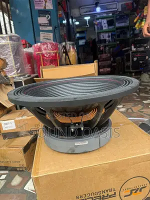 Jac (5000 Watts) 21 Inches Naked Speaker(Pair)