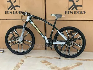 Mountain Bike (Ben Rors Bike)