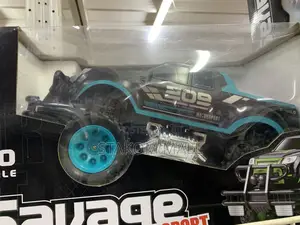 Remote Control Racing Car for Kids