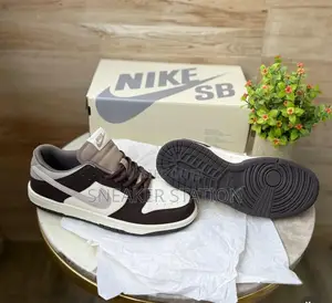 Nike Sb Dunk Low Steam Boy