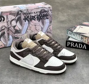 Nike Sb Dunk Low Steam Boy