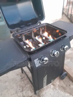 Outdoor Barbecue Grill