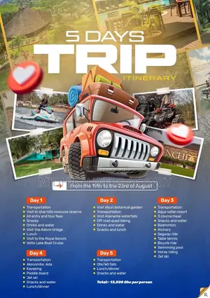 Professional Graphic Design (Flyer And Poster)