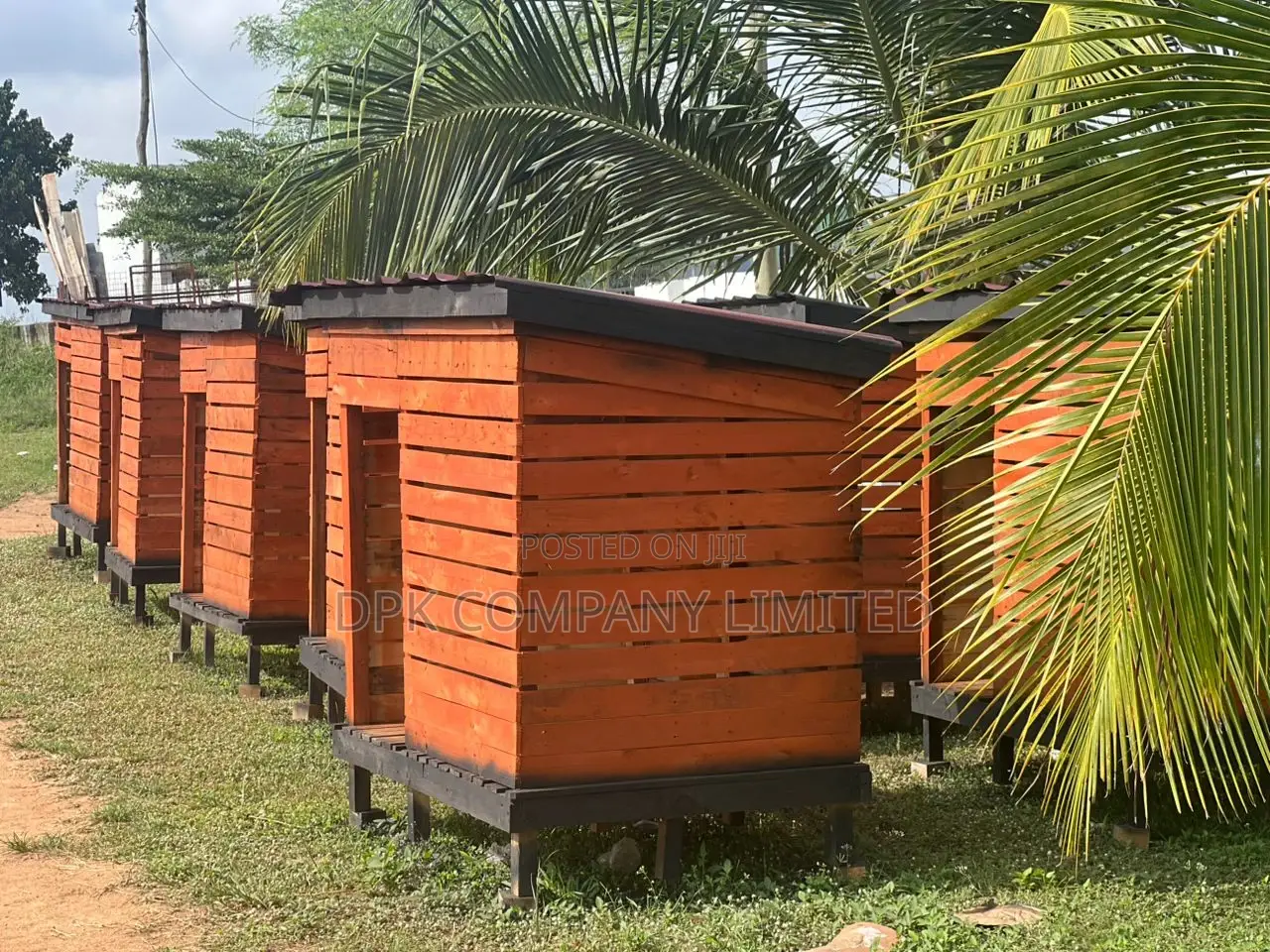 Dog House for Large Breed Dogs ( at Kasoa )