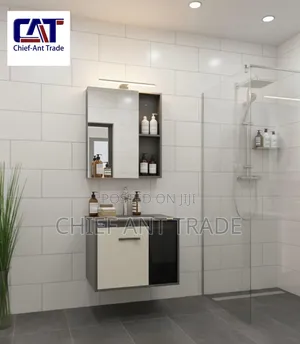 60cm Cabinet Basin With Cabinet Mirror