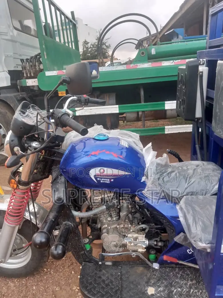 New Tricycle 2025 Blue