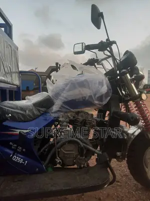 New Tricycle 2025 Blue
