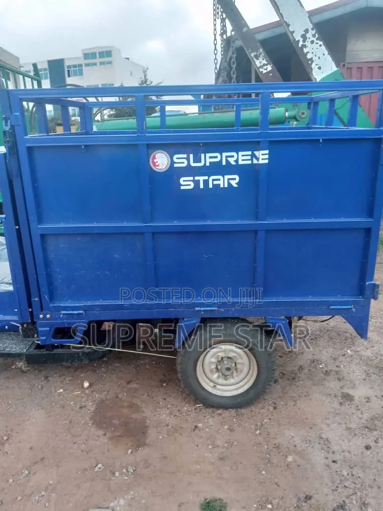 New Tricycle 2025 Blue