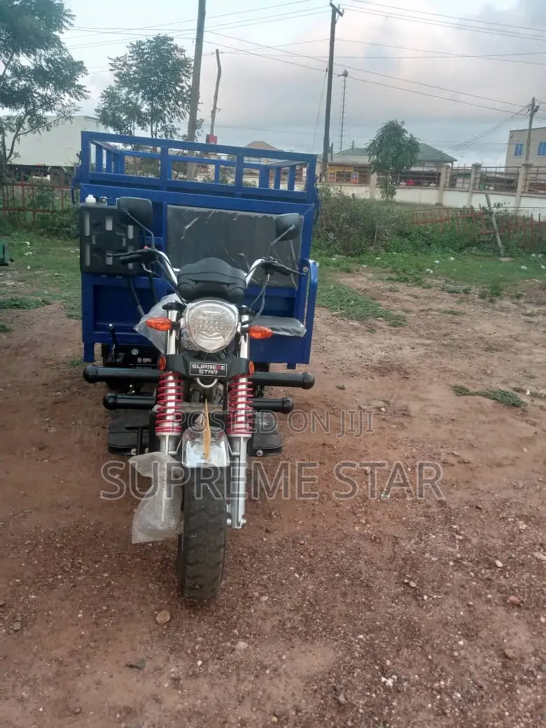 New Tricycle 2025 Blue