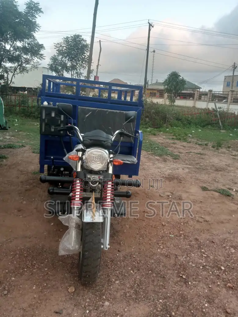 New Tricycle 2025 Blue
