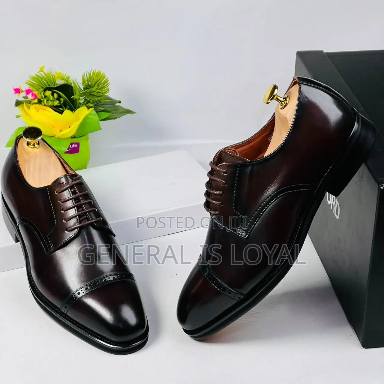Tom Ford Derby Coffee Men Leather Shoe