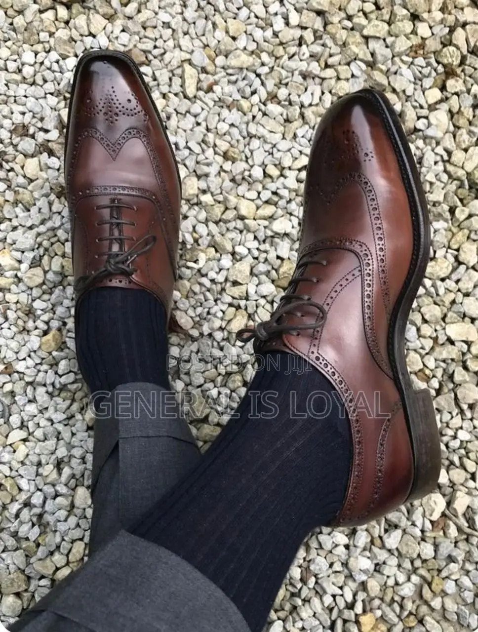 Roberto Cavalli Dark Coffee Men Leather Lace Shoe
