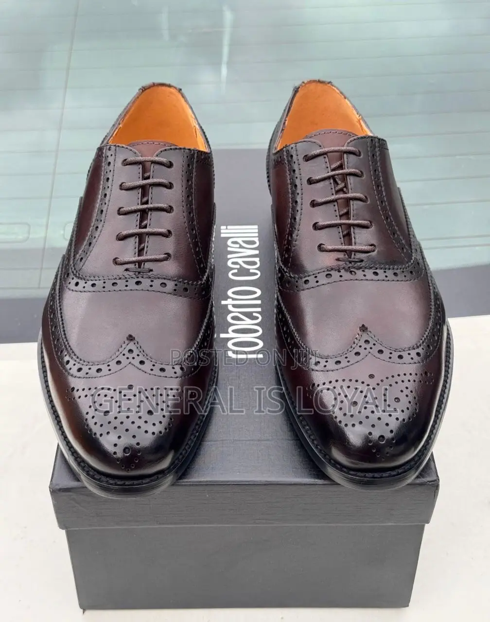 Roberto Cavalli Dark Coffee Men Leather Lace Shoe