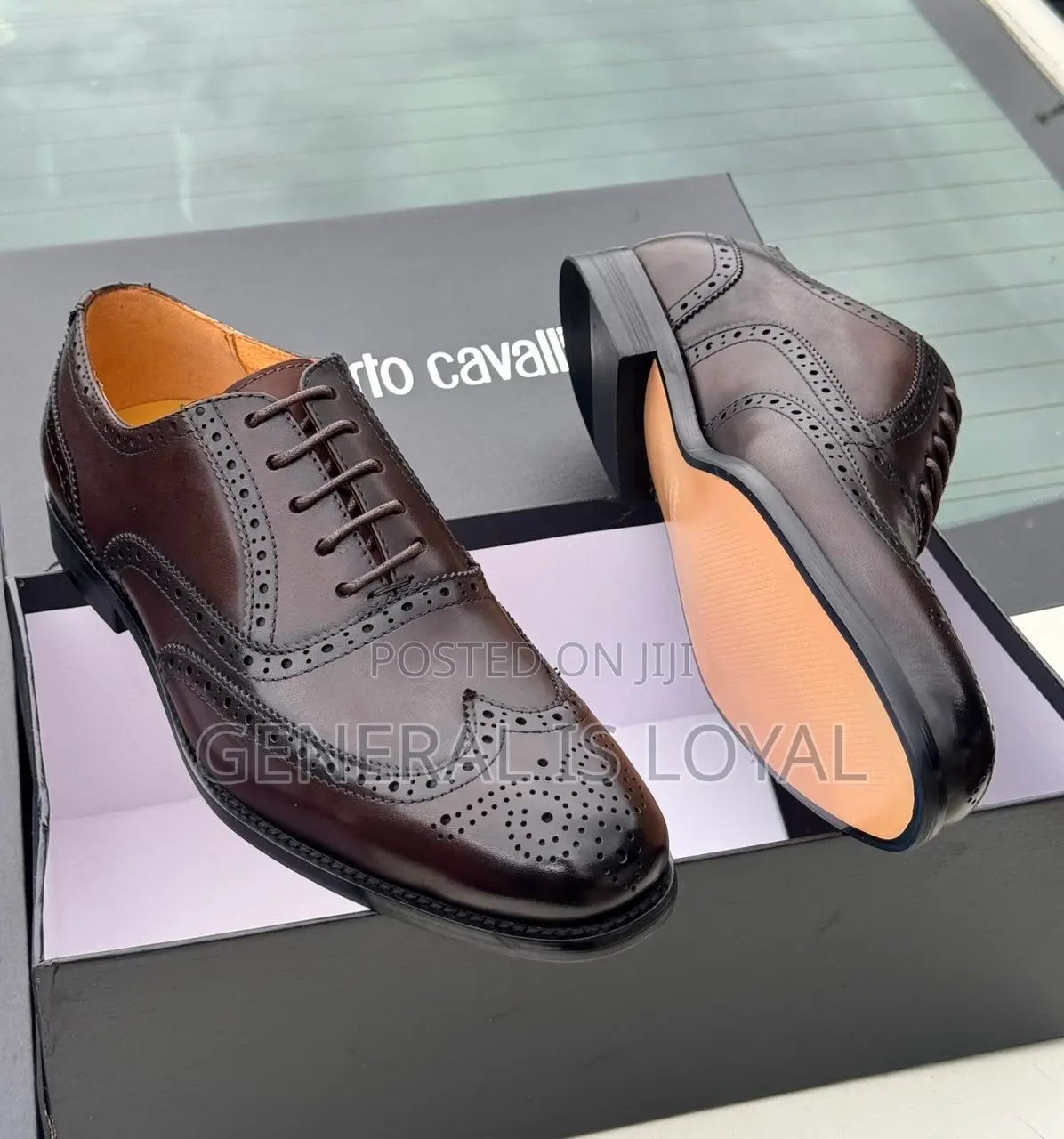 Roberto Cavalli Dark Coffee Men Leather Lace Shoe