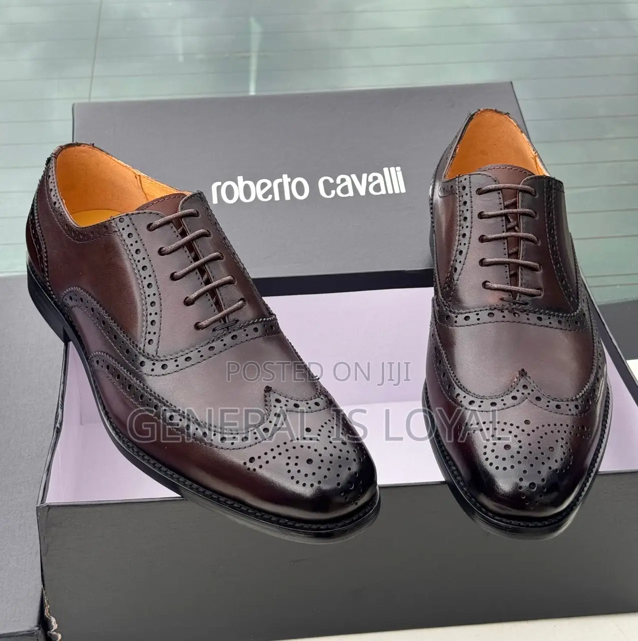 Roberto Cavalli Dark Coffee Men Leather Lace Shoe