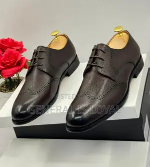 Pierre Cardin Coffee Lace Men’S Shoes