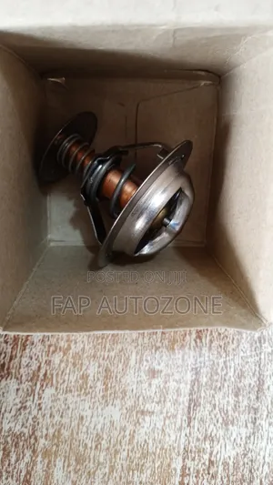 10570. Original Motorad Thermostat F150, Explorer From Usa. 655190
