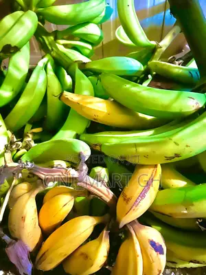 Plantains .Ripe and Unripe