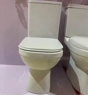 Imported Frencia Water Close_soft Close Wc_dlim Tank Wc