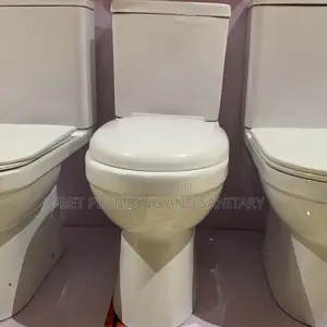 Imported Water Closet_frencia Big Tank Wc_soft Close Wc