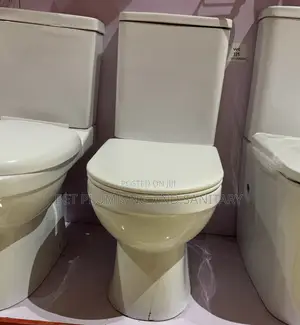 Imported Frencia Slim Tank Water Closet_complete Soft Close Wc