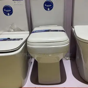 Imported Frencia Water Closet_slim Tank Toilet Seat_master Bedroom Wc