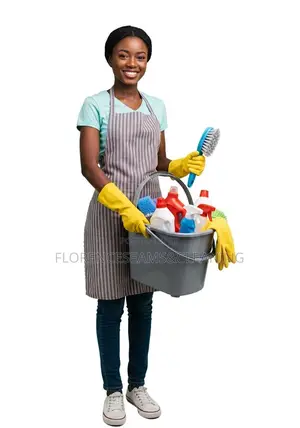 Cleaning Service