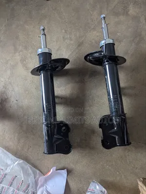 Hyundai Santa Fe 2013,2014,2015,2016,2017 Front Shock Absorber