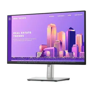 Dell Monitor P2422h 24.0 Inches