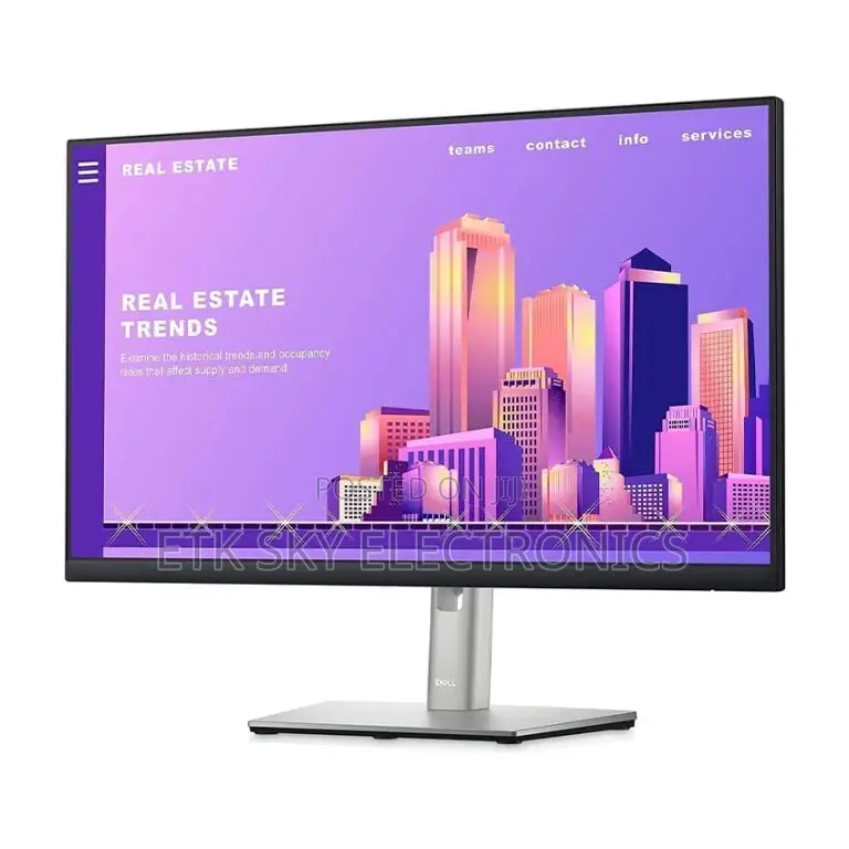 Dell Monitor P2422h 24.0 Inches