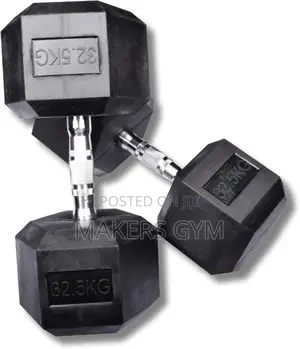 32.5kg Dumbbells Pair