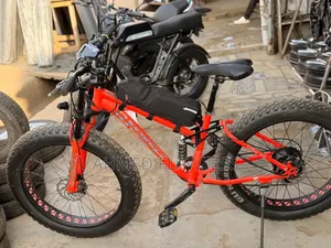 Electric Bike