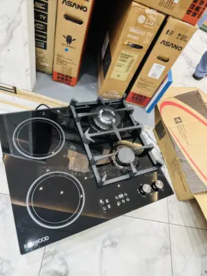 Less Expensive Gas Cooker Inbuilt 2-2