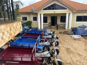 New Tricycle 2024 Blue